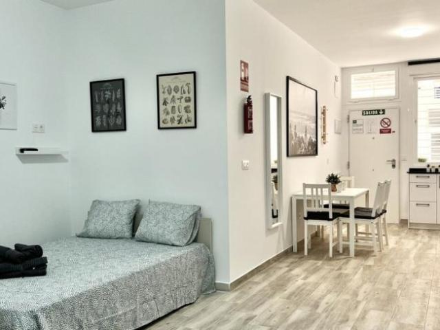 Alquiler 1 Dormitorio Apartamentos Málaga Málaga DS101566677
