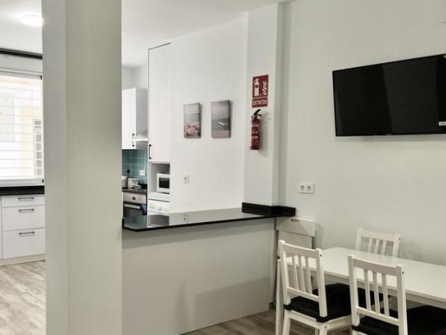 Alquiler 1 Dormitorio Apartamentos Málaga Málaga DS101566679