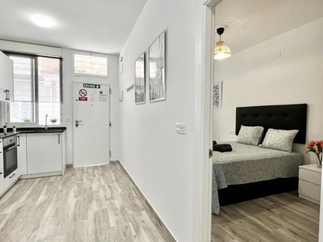 Alquiler 1 Dormitorio Apartamentos Málaga Málaga DS101566681