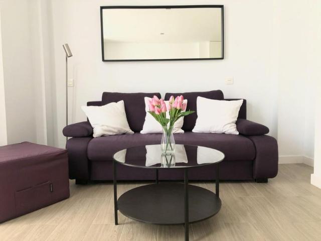 Alquiler 1 Dormitorio Apartamentos Málaga Málaga DS101566683