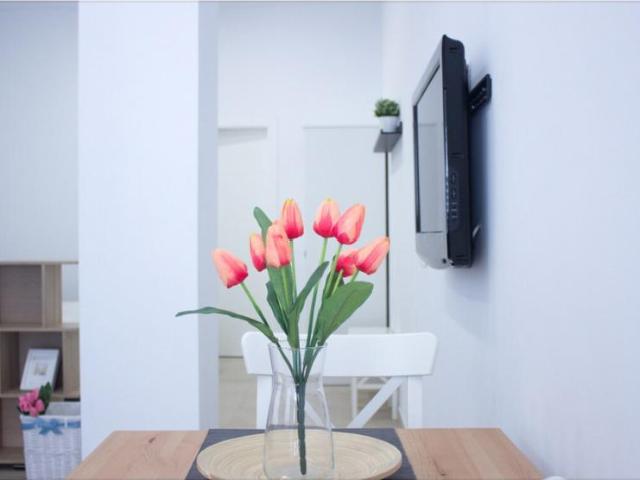 Alquiler Apartamentos Málaga Málaga DS101655075