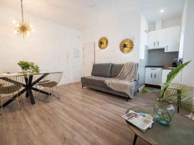 Alquiler 1 Dormitorio Apartamentos Málaga Málaga DS101655089