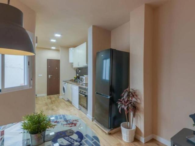 Alquiler 1 Dormitorio Apartamentos Malaga Malaga DS101771439