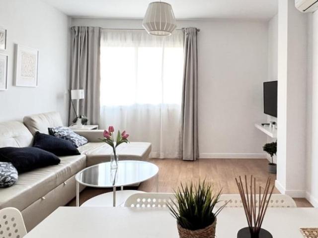 Alquiler 1 Dormitorio Apartamentos Málaga Málaga DS101775826