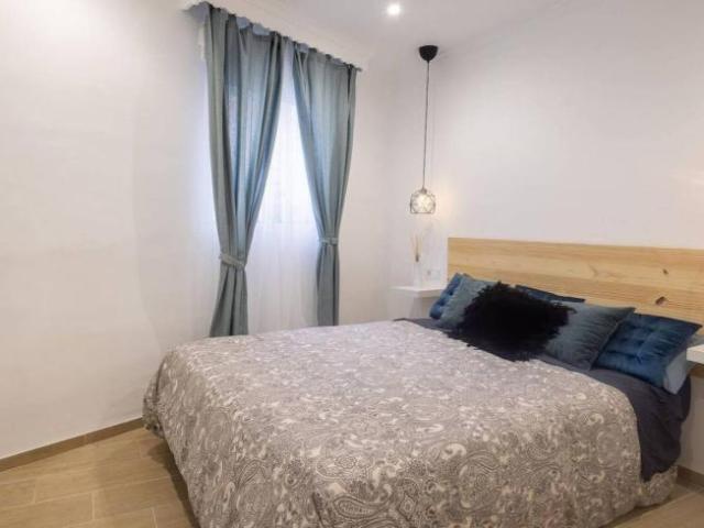 Alquiler 1 Dormitorio Apartamentos Malaga Malaga DS101824860