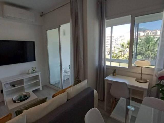 Alquiler 1 Dormitorio Apartamentos Malaga Malaga DS101847297