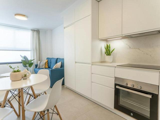 Alquiler 1 Dormitorio Apartamentos Málaga Málaga DS101269266