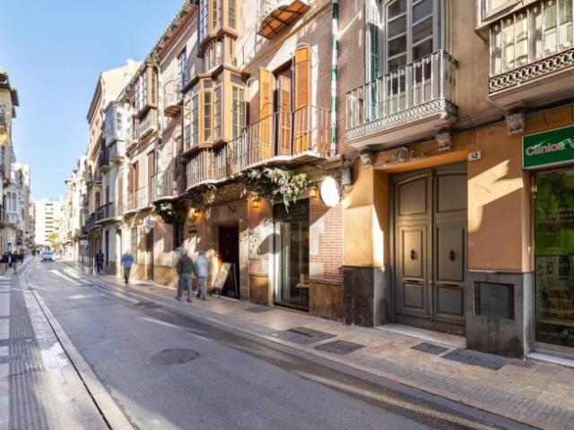 Alquiler 1 Dormitorio Apartamentos Malaga Malaga DS102523018