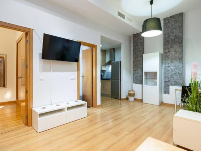 Alquiler 1 Dormitorio Apartamentos Malaga Malaga DS102663539