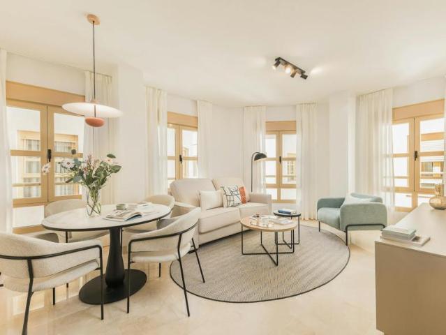 Alquiler 1 Dormitorio Apartamentos Málaga Málaga DS102771789