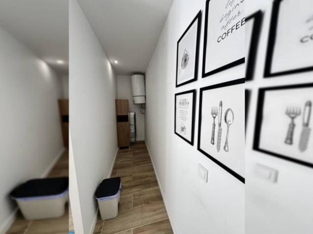 Alquiler 1 Dormitorio Apartamentos Malaga Malaga DS102886366