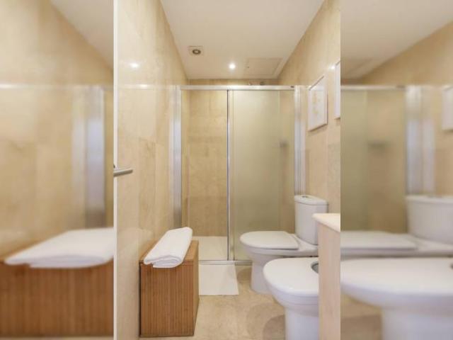 Alquiler 1 Dormitorio Apartamentos Malaga Malaga DS102954340