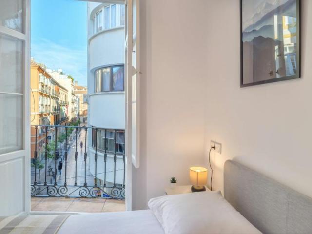 Alquiler 1 Dormitorio Apartamentos Málaga Málaga DS103655117