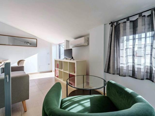 Alquiler 1 Dormitorio Apartamentos Málaga Málaga DS103696006