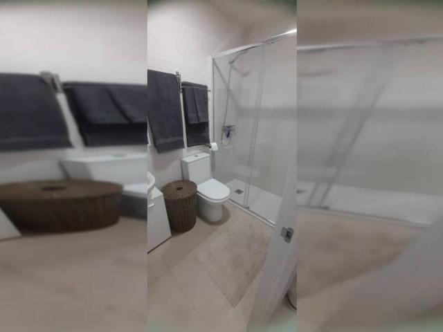 Alquiler 1 Dormitorio Apartamentos Malaga Malaga DS103697059