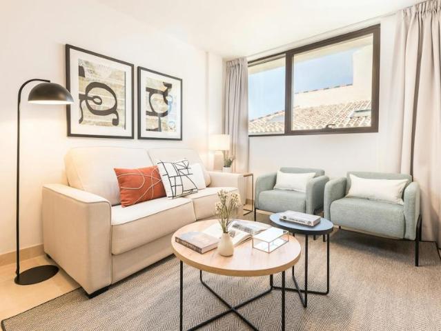 Alquiler 1 Dormitorio Apartamentos Málaga Málaga DS103960073