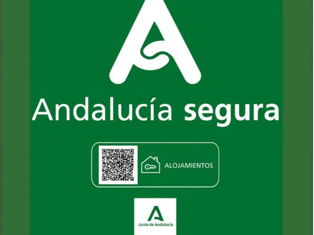 Alquiler 1 Dormitorio Apartamentos Málaga Málaga DS103961310