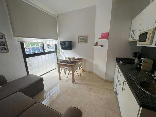 Alquiler 1 Dormitorio Apartamentos Málaga Málaga DS103119959