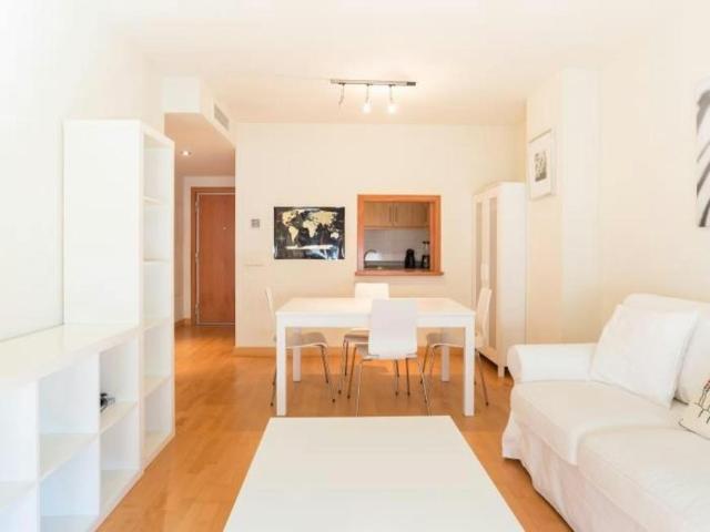 Alquiler 1 Dormitorio Apartamentos Málaga Málaga DS103244305