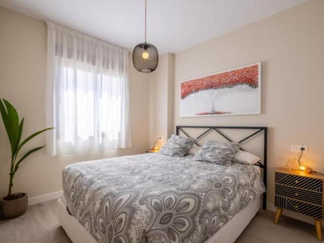 Alquiler 1 Dormitorio Apartamentos Malaga Malaga DS103285831