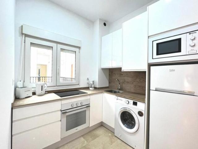 Alquiler 1 Dormitorio Apartamentos Malaga Malaga DS103286830