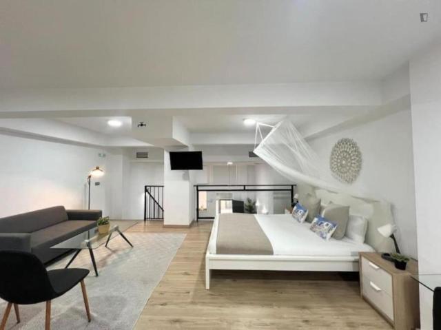 Alquiler 1 Dormitorio Apartamentos Malaga Malaga DS103286979