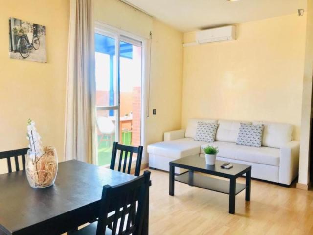 Alquiler 1 Dormitorio Apartamentos Malaga Malaga DS103287079