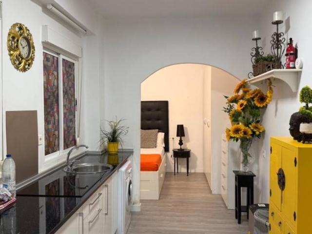 Alquiler 1 Dormitorio Apartamentos Malaga Malaga DS103304869