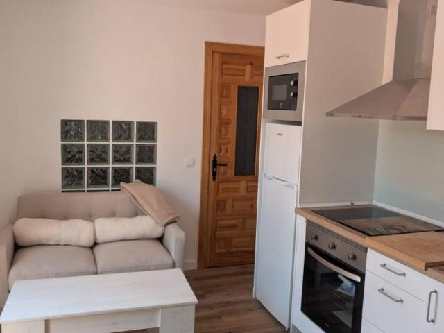 Alquiler 1 Dormitorio Apartamentos Malaga Malaga DS104438372
