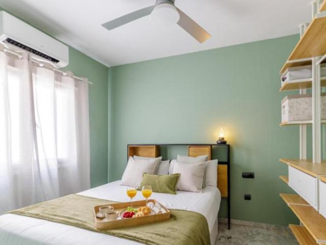Alquiler 1 Dormitorio Apartamentos Málaga Málaga DS104474540