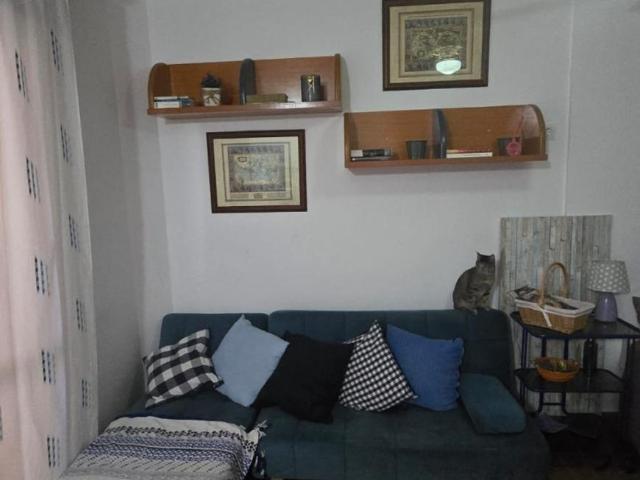 Alquiler 1 Dormitorio Apartamentos Málaga Málaga DS104507348