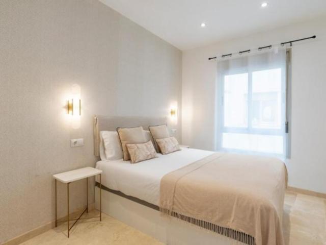 Alquiler 1 Dormitorio Apartamentos Málaga Málaga DS104601366