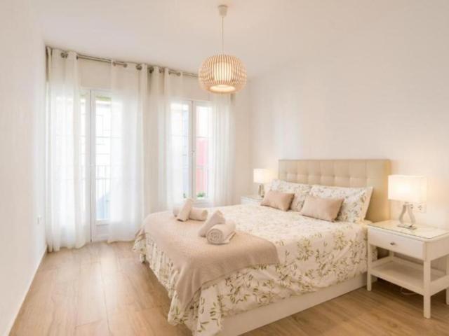 Alquiler 1 Dormitorio Apartamentos Málaga Málaga DS104644409