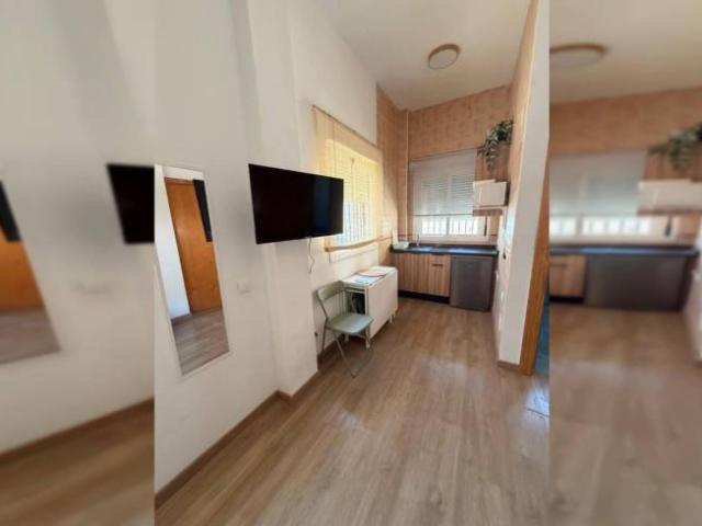 Alquiler 1 Dormitorio Apartamentos Malaga Malaga DS104683341