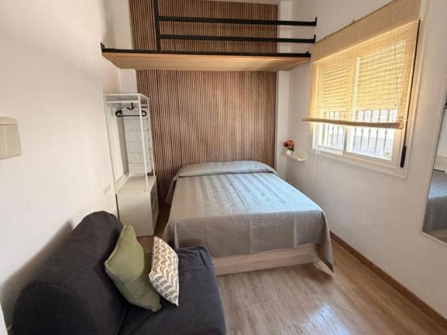 Alquiler 1 Dormitorio Apartamentos Málaga Málaga DS104754844