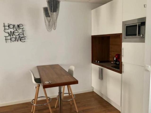 Alquiler 1 Dormitorio Apartamentos Málaga Málaga DS104755944