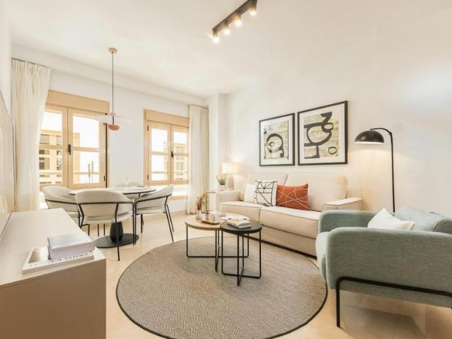 Alquiler 1 Dormitorio Apartamentos Málaga Málaga DS104783793