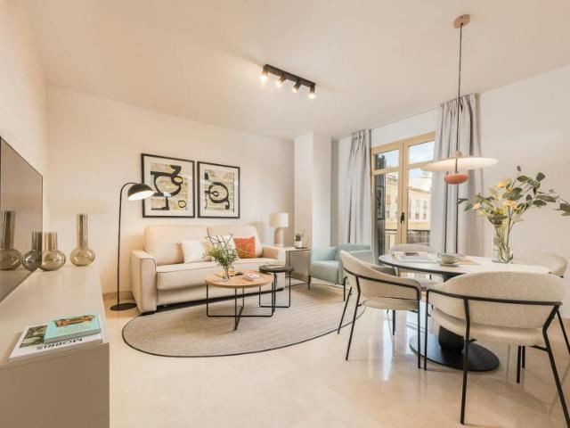 Alquiler 1 Dormitorio Apartamentos Málaga Málaga DS104826080