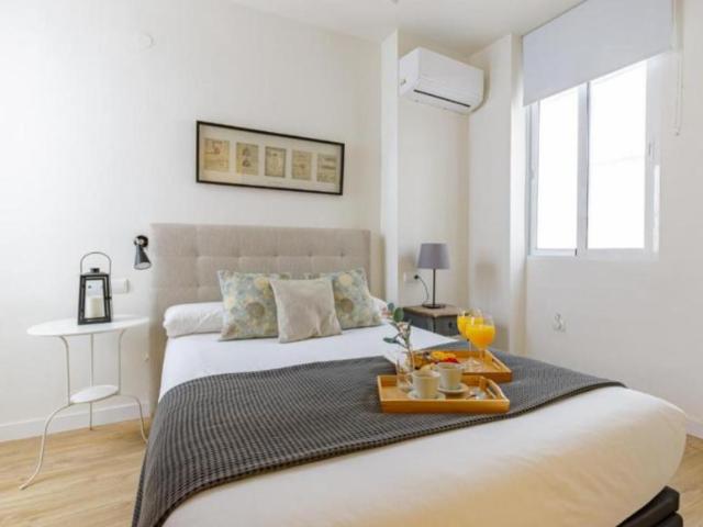 Alquiler 1 Dormitorio Apartamentos Málaga Málaga DS104828797