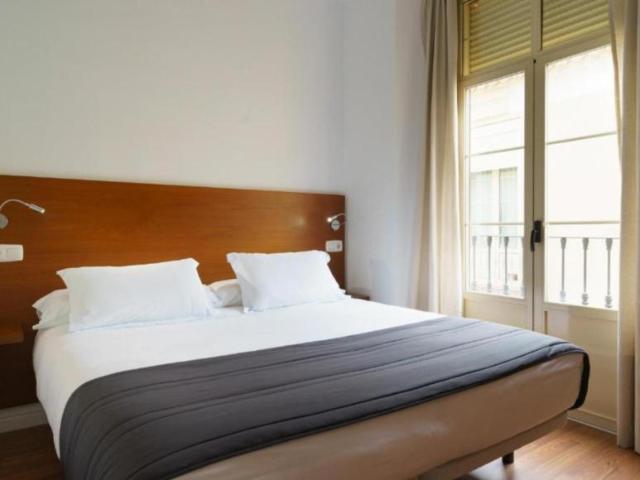 Alquiler 1 Dormitorio Apartamentos Málaga Málaga DS104828861