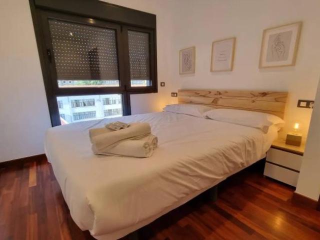 Alquiler 1 Dormitorio Apartamentos Oviedo Oviedo DS101836415