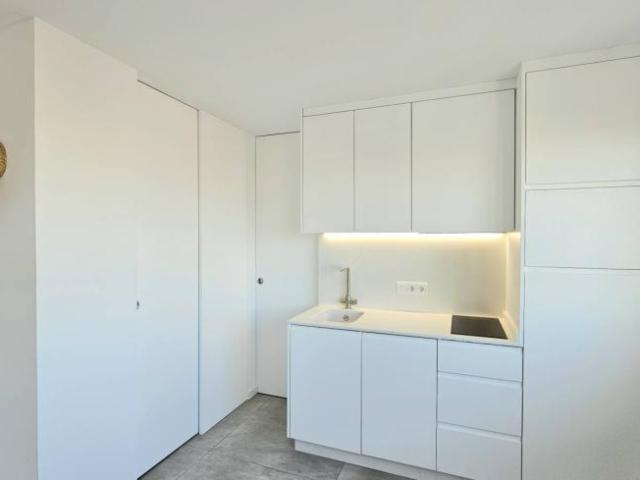 Alquiler 1 Dormitorio Apartamentos Alicante Alicante DLS102400352