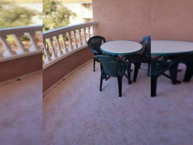 Alquiler 1 Dormitorio Apartamentos Alicante Alicante DLS99230418