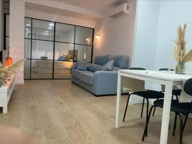 Alquiler 1 Dormitorio Apartamentos Alicante Alicante DS104182339
