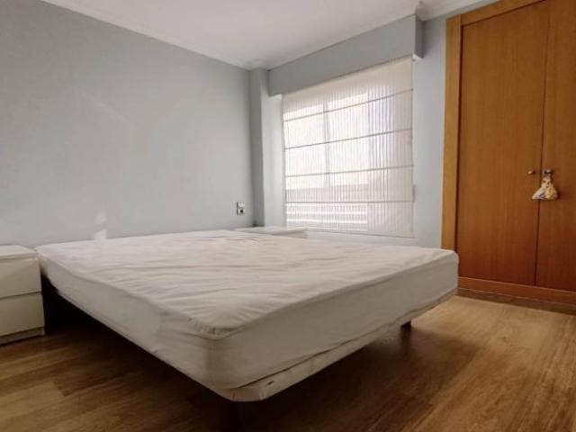 Alquiler 1 Dormitorio Apartamentos Alicante Alicante DS104565046