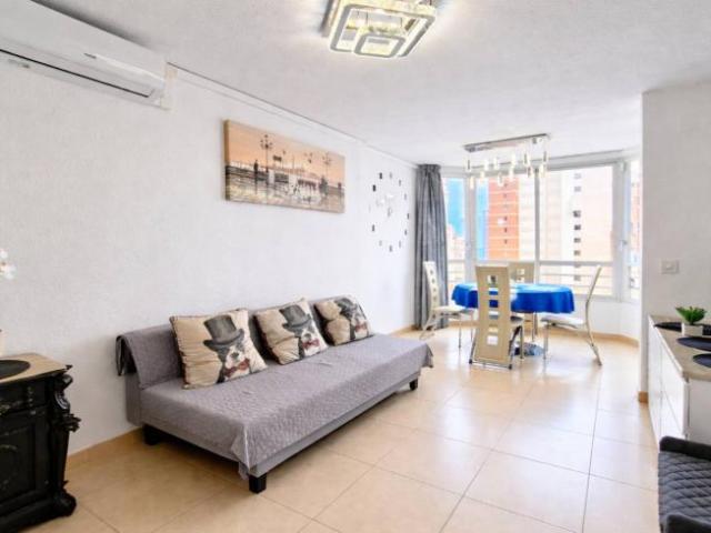 Alquiler 1 Dormitorio Apartamentos Alicante Alicante DS101776244