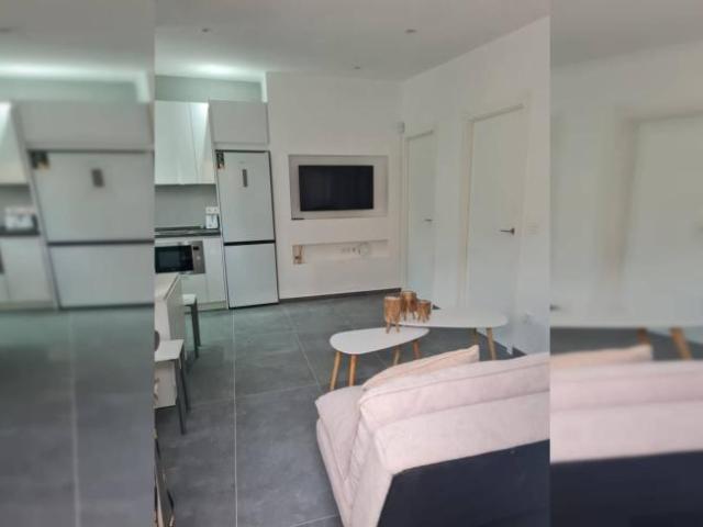 Alquiler 1 Dormitorio Apartamentos Alicante Alicante DS101846534