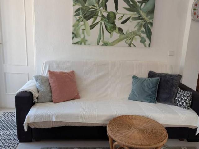 Alquiler 1 Dormitorio Apartamentos Alicante Alicante DS102438062