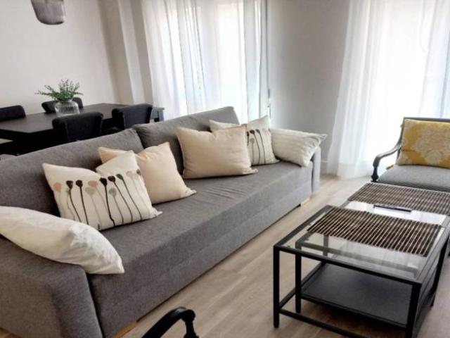Alquiler 1 Dormitorio Apartamentos Alicante Alicante DS103063647
