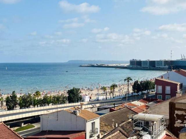 Alquiler 1 Dormitorio Apartamentos Alicante Alicante DS103305401